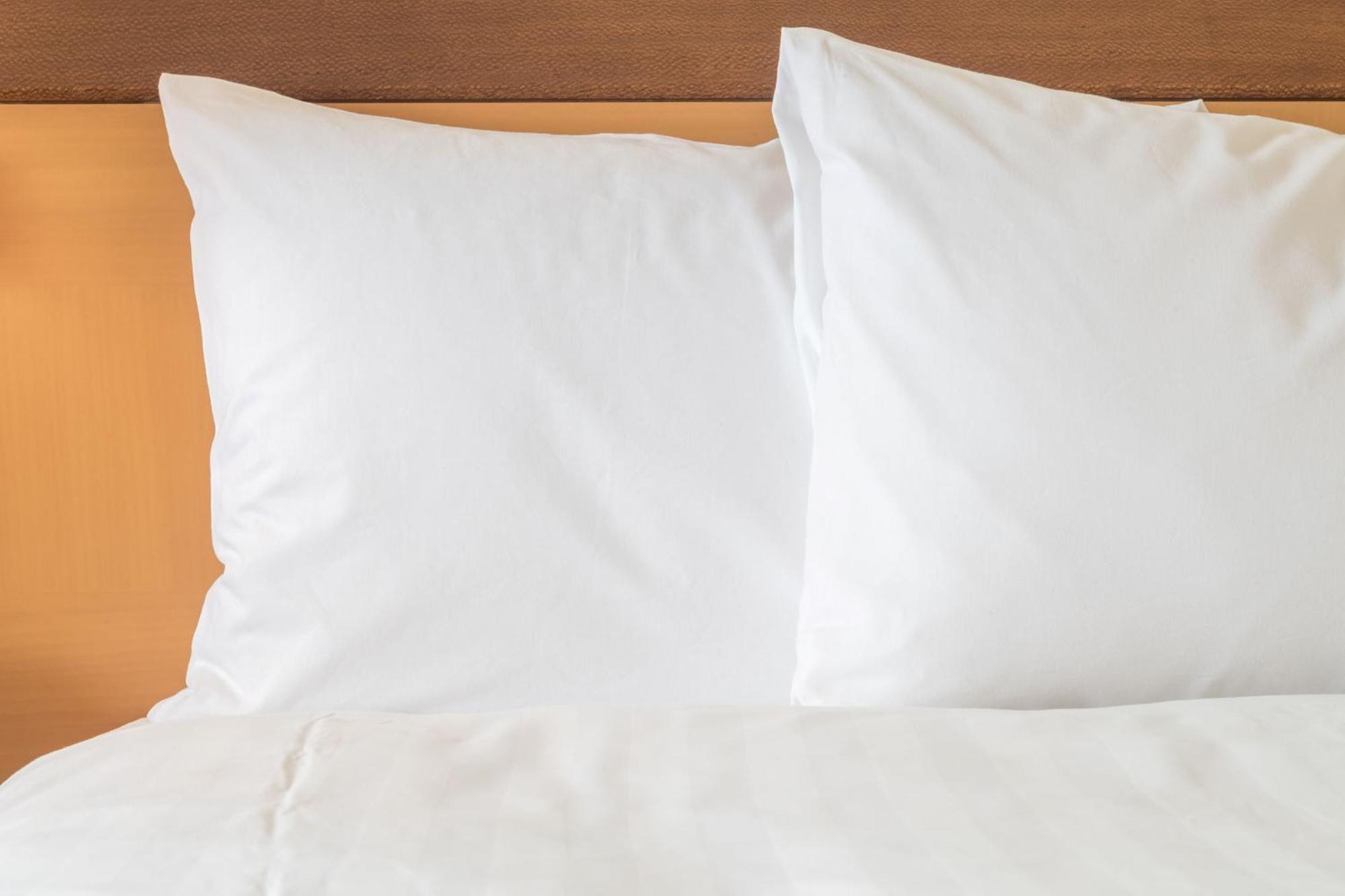 Holiday Inn Express Hotel & Suites Zapata By Ihg מראה חיצוני תמונה